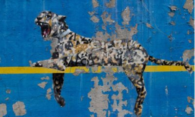 tigre banksy