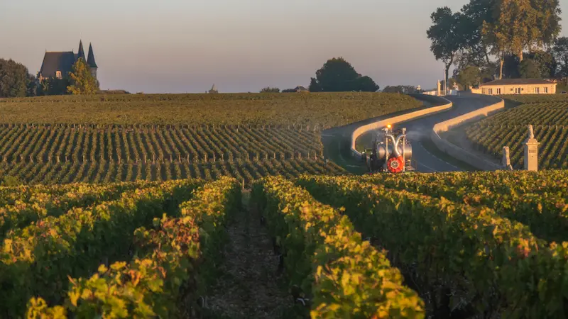 Au cœur du Marathon du Médoc 2023