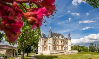 Pourquoi le Marathon du Médoc 2023 sera l'événement sportif et vinicole de l'année ?