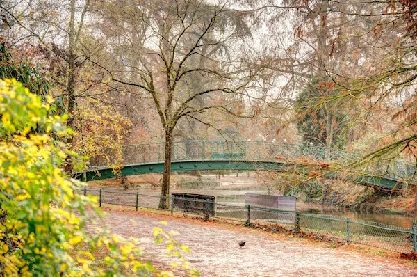 tempete-aline-fermeture-des-parcs-a-bordeaux